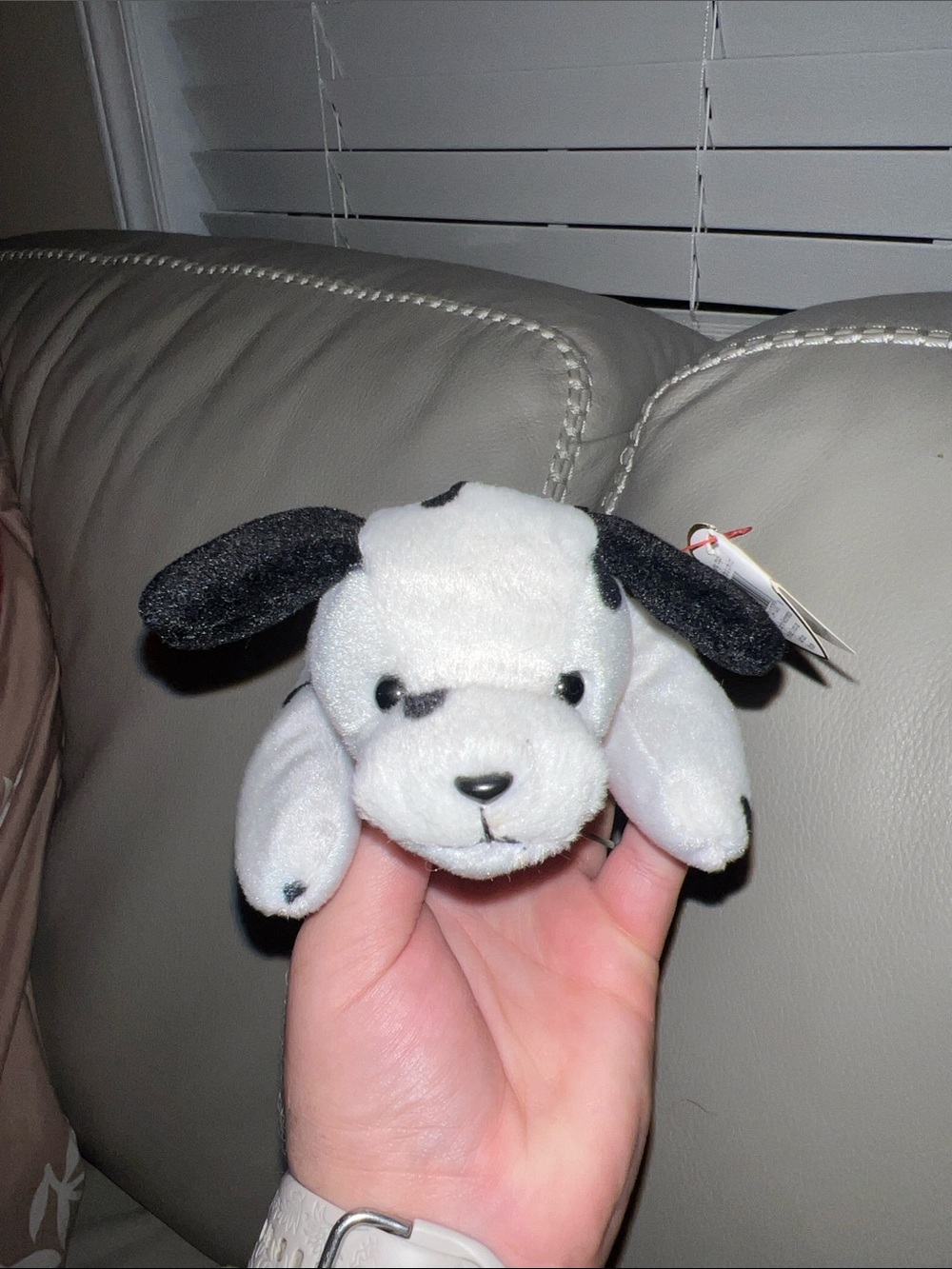 Dotty the Dalmatian Beanie Baby Plush
